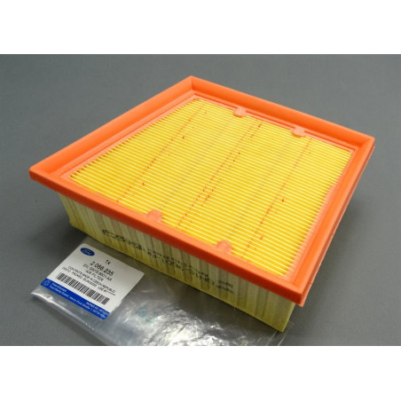 FILTR POWIETRZA (PB) (ON) /...